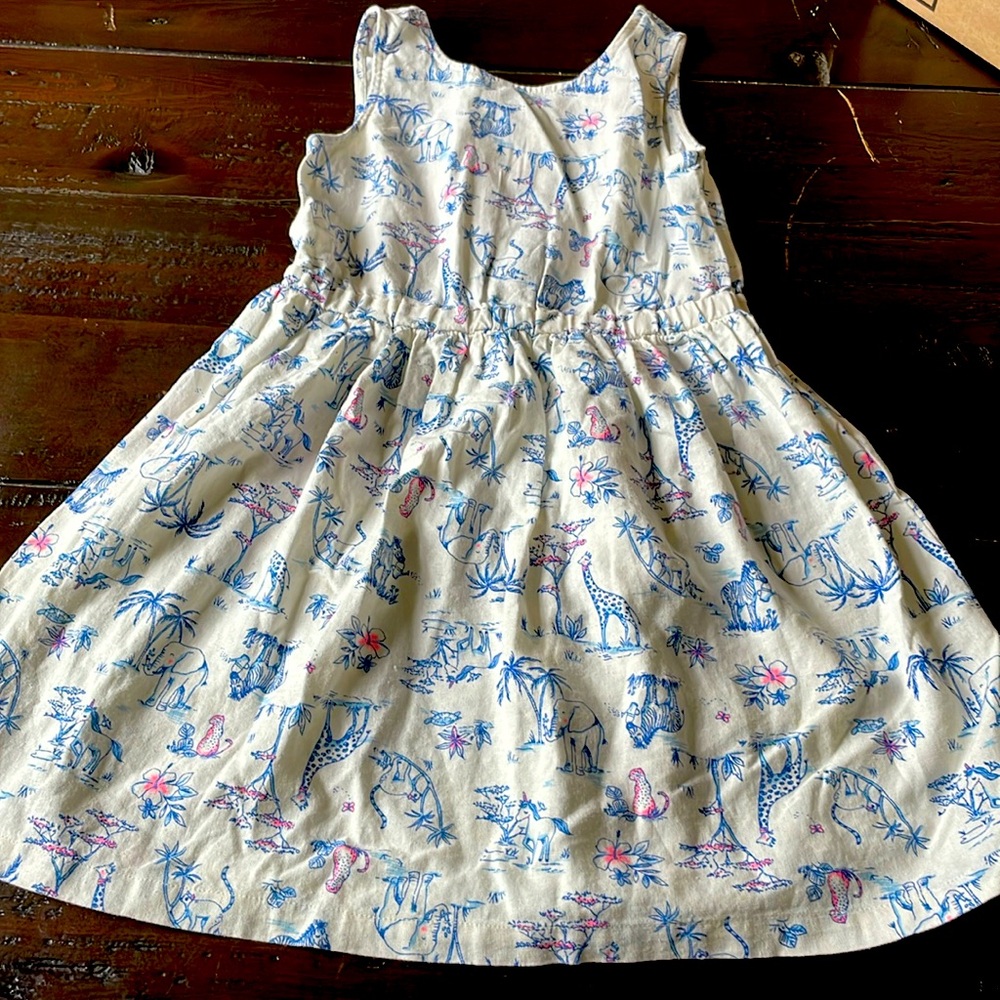 Beautiful Carter’s dress size 6x
